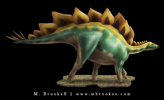 Stegosaurus